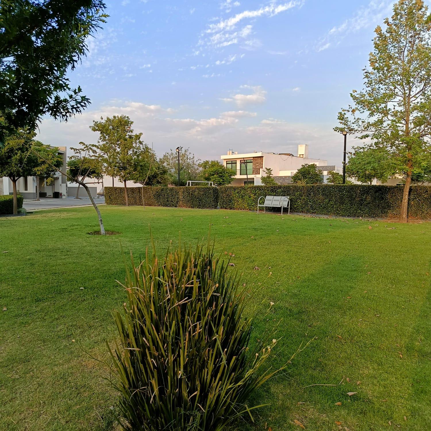Imagen 4
